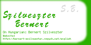 szilveszter bernert business card